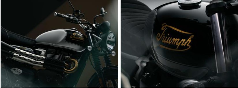 Triumph Scrambler 900 Icon Edition